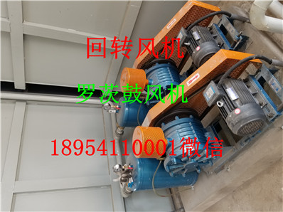 20190818_145323.jpg